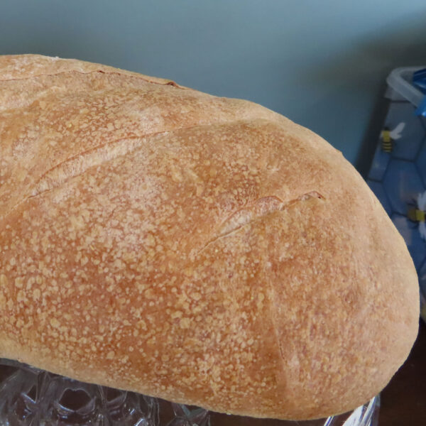 Sourdough Bread
